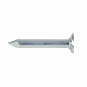 SEMENCE CINC.DE 10 mm....