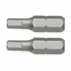 PUNTAS 25MM.ALLEN 4MM JGO.2...