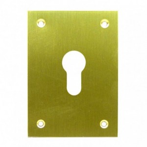 PLACA TROQUEL. LAT.PUL 80X80