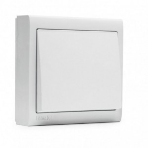 PULSADOR LUZ SERIE 8000 10A