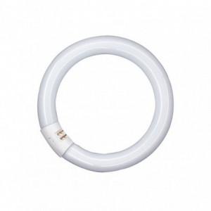 FLUORESCENTE CIRCULAR T9...