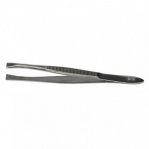 PINZA 3  BORDE RECTO PALMERA