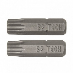 PUNTAS 25MM.TORX SEG.T25...