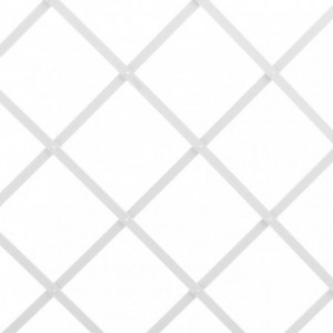 CELOSIA PLASTICA EXT.2X1...
